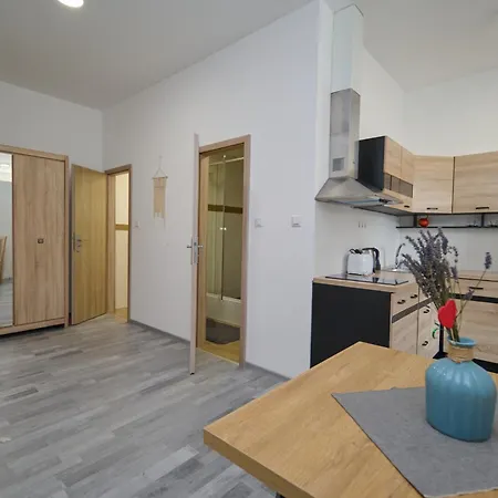 מלון דירות Central Apartments