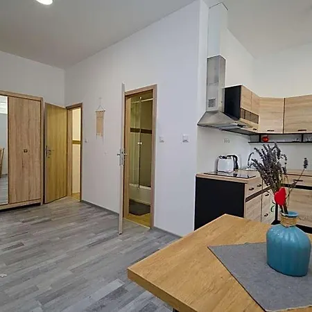 Central Apartments Aparthotel 4*